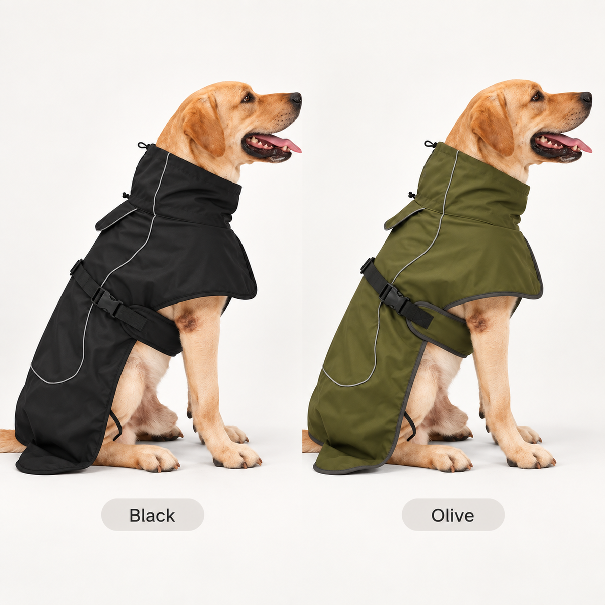 Lightweight Waterproof Adventure Dog Raincoat