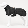 Insulated Winter Adventure Dog Coat