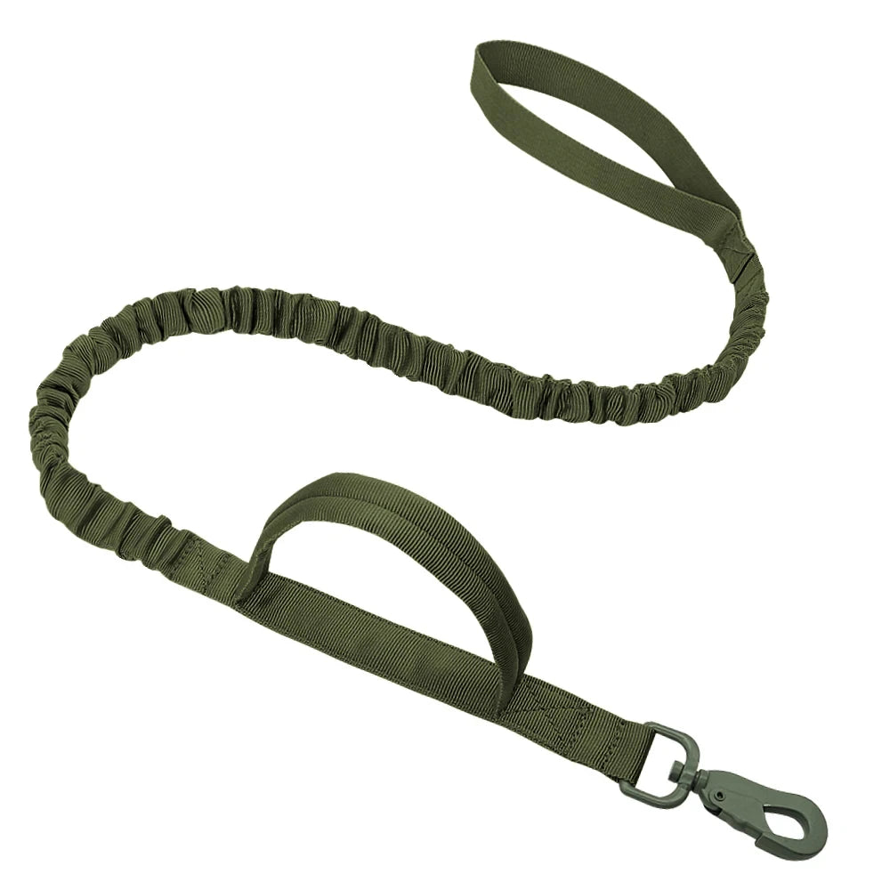 Shock Absorbing Adventure Bungee Dog Leash