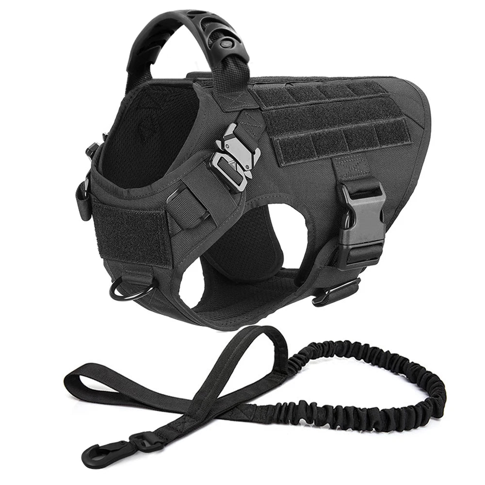 Tactical Adventure Dog Harness & Gear System