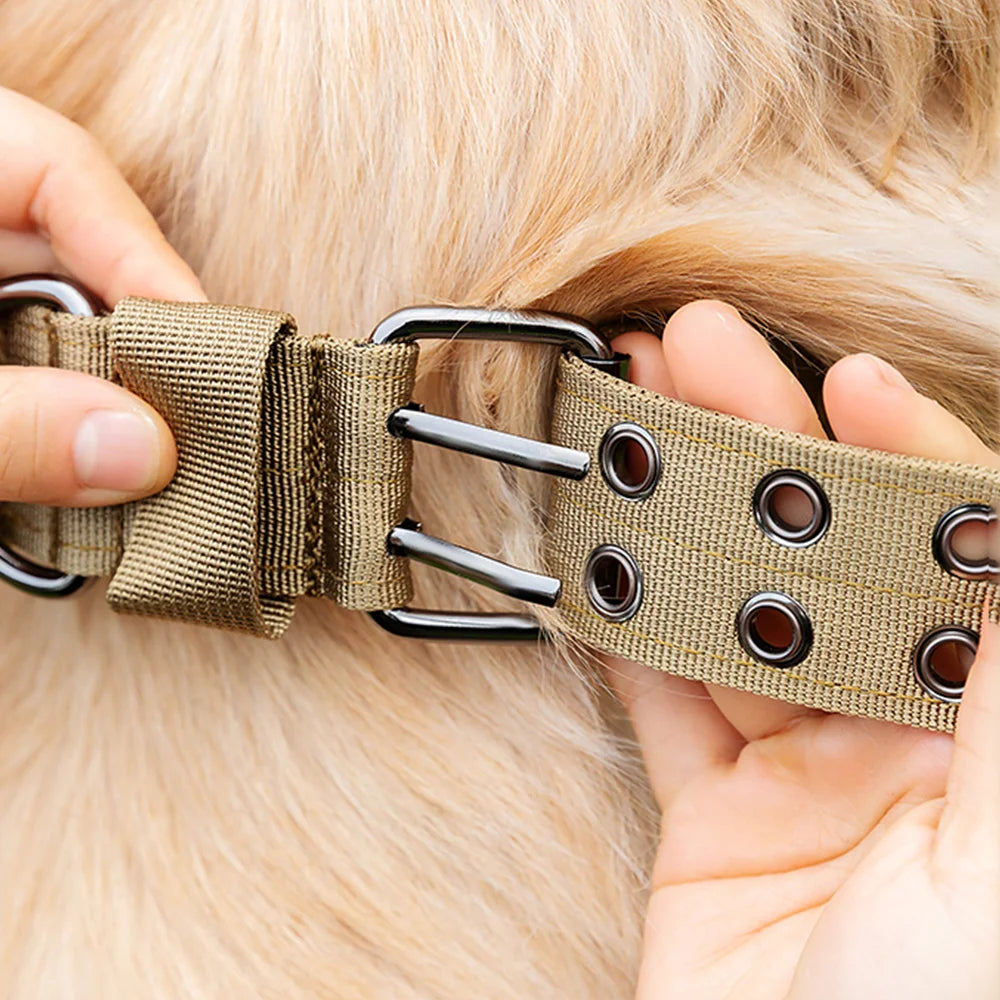 Heavy-Duty Tactical Dog Collar