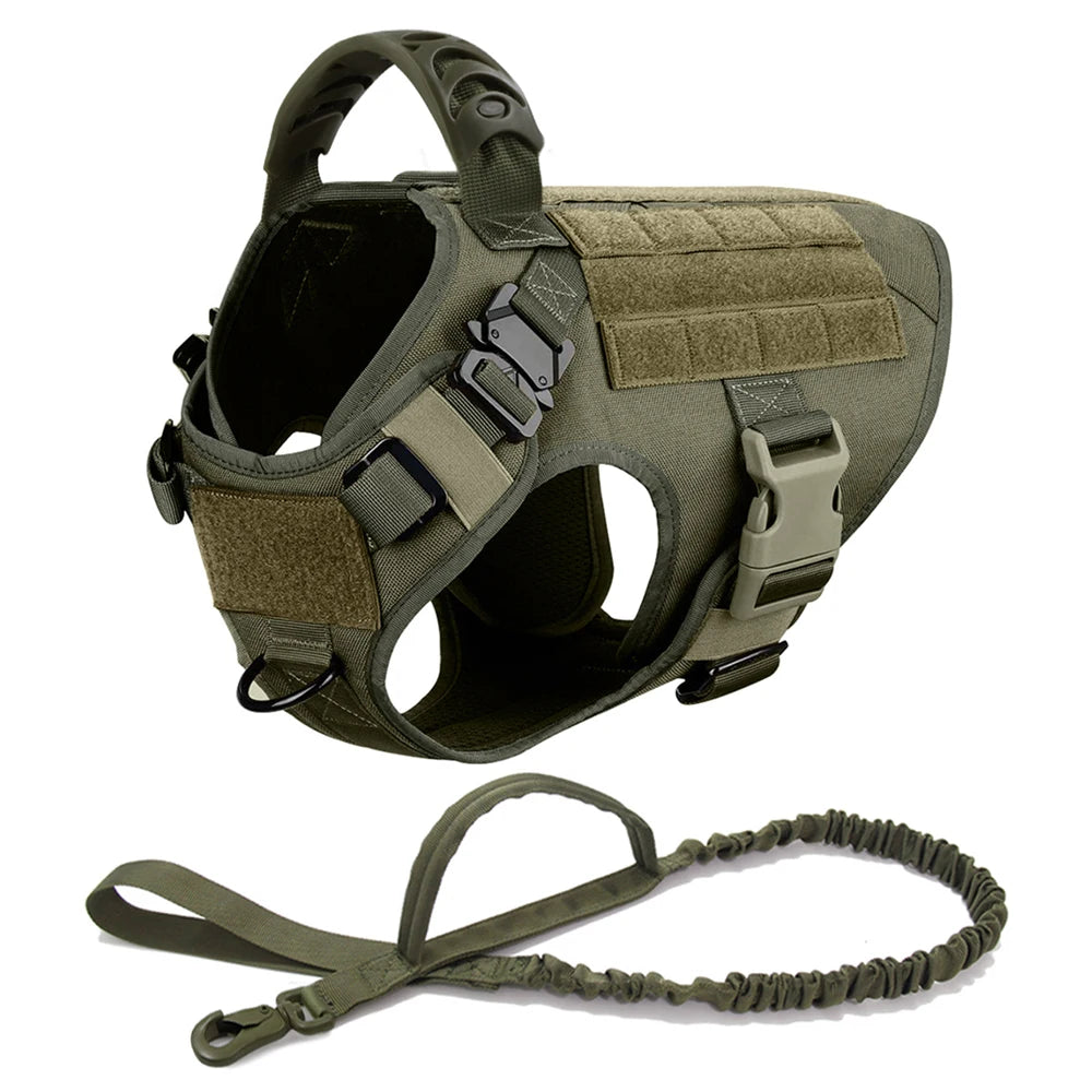 Tactical Adventure Dog Harness & Gear System