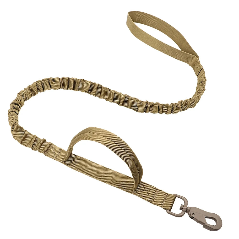Shock Absorbing Adventure Bungee Dog Leash