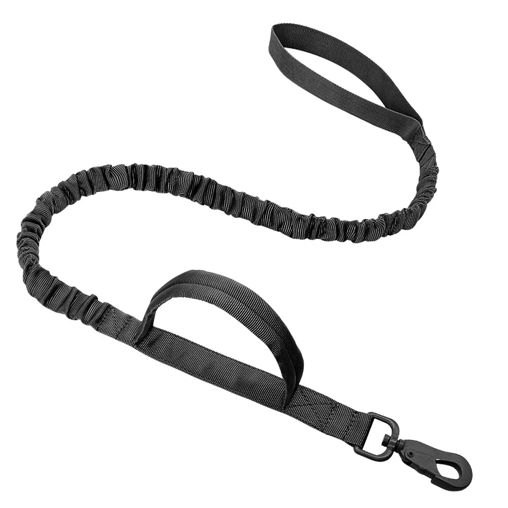 Shock Absorbing Adventure Bungee Dog Leash